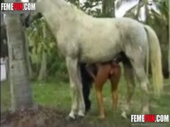 Beautiful girl and her perverted boyfirend come up to their horse to enjoy beastiality sex